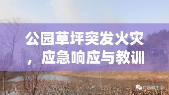 公园草坪突发火灾，应急响应与教训反思
