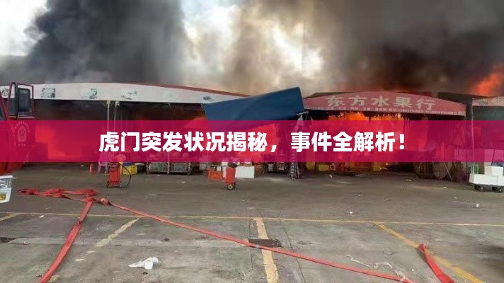虎门突发状况揭秘，事件全解析！