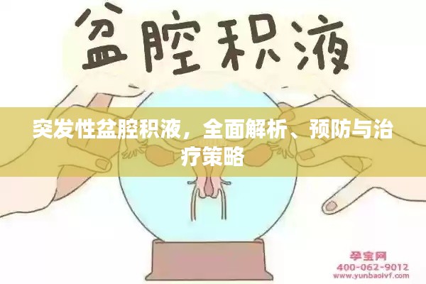 突发性盆腔积液，全面解析、预防与治疗策略