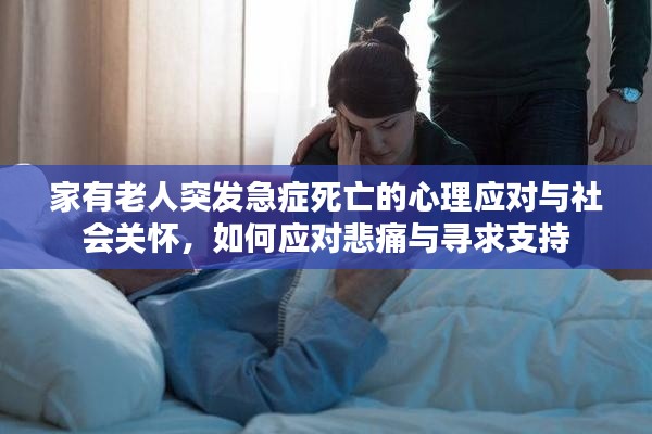 下马看花 第2页