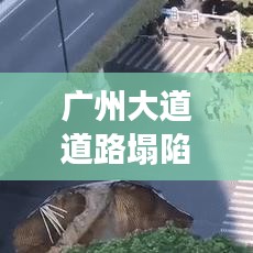 富贵不能淫 第2页