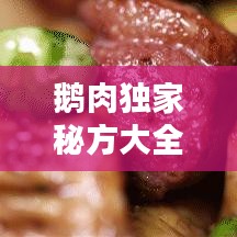 鹅肉独家秘方大全视频，鹅肉配方 