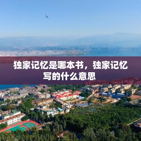 独家记忆是哪本书，独家记忆写的什么意思 