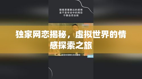 独家网恋揭秘，虚拟世界的情感探索之旅
