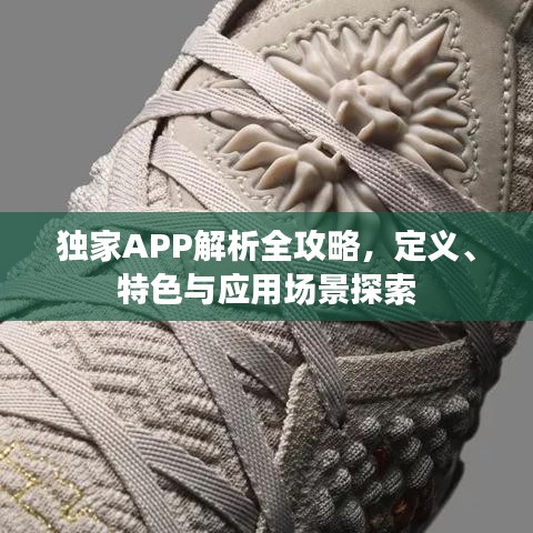 独家APP解析全攻略，定义、特色与应用场景探索