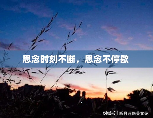 正声雅音 第2页