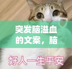 推襟送抱 第2页