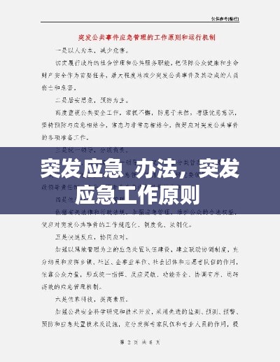 突发应急  办法，突发应急工作原则 