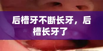 侃侃而谈 第2页