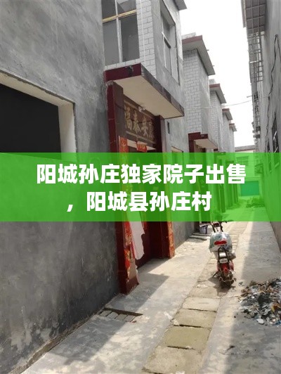 母凭子贵 第2页
