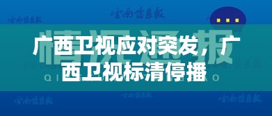 广西卫视应对突发，广西卫视标清停播 