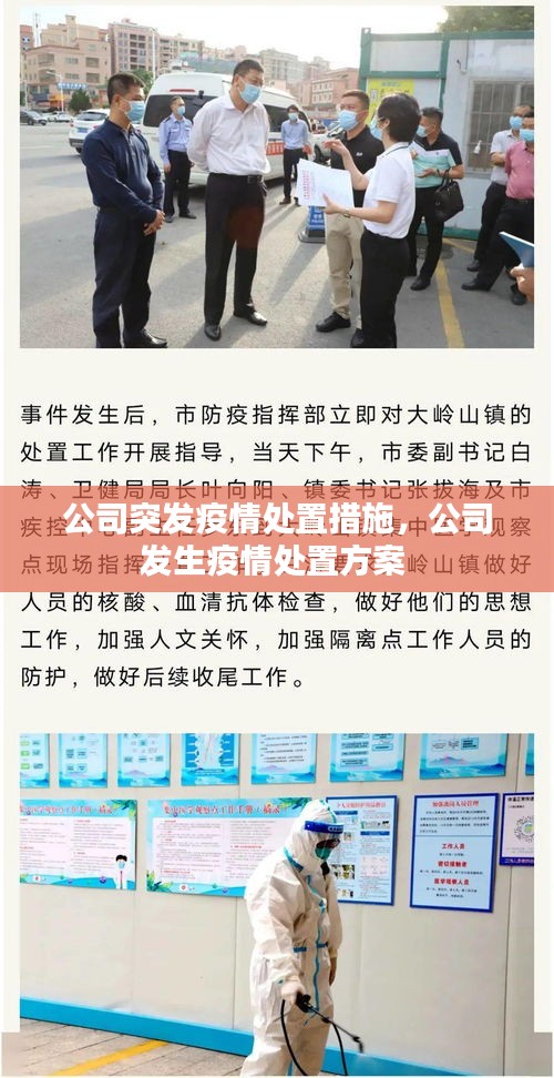窗明几净 第2页