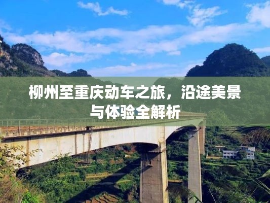 柳州至重庆动车之旅，沿途美景与体验全解析