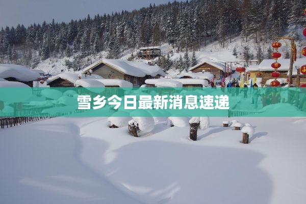 雪乡今日最新消息速递