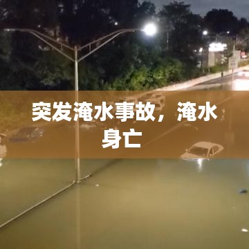 鸢飞戾天 第2页