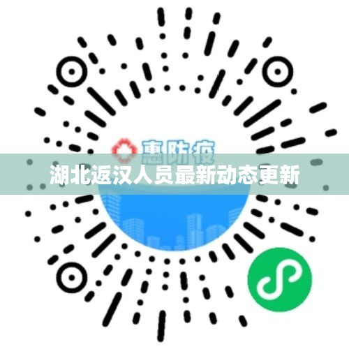 湖北返汉人员最新动态更新