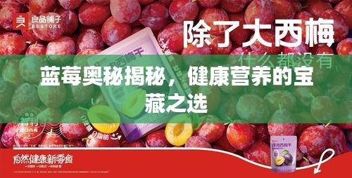 蓝莓奥秘揭秘，健康营养的宝藏之选