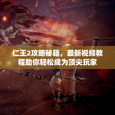 仁王2攻略秘籍，最新视频教程助你轻松成为顶尖玩家