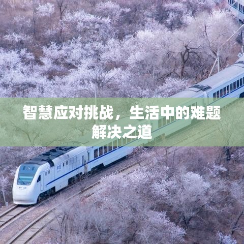 智慧应对挑战，生活中的难题解决之道