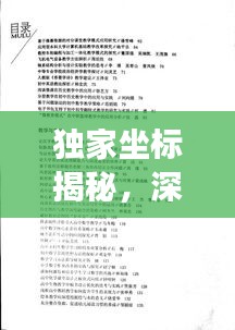 独家坐标揭秘，深度挖掘作文背后的故事与价值