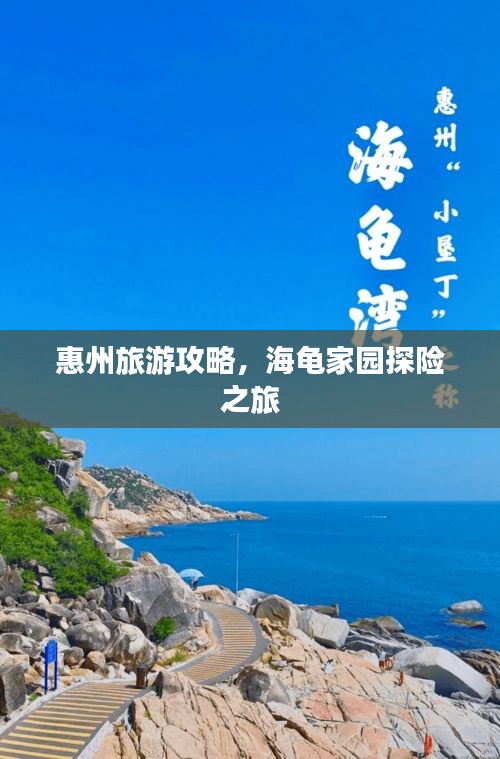 惠州旅游攻略，海龟家园探险之旅