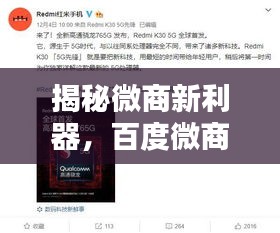 纲挈目张 第2页