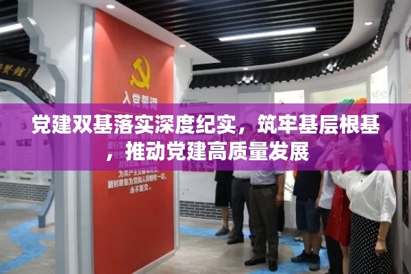 党建双基落实深度纪实，筑牢基层根基，推动党建高质量发展