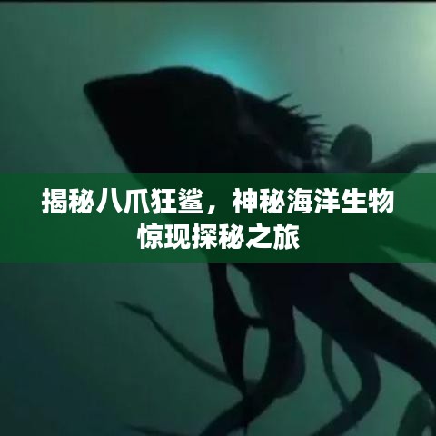 荆钗布裙 第2页