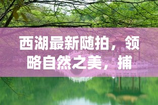 蓬荜生辉 第2页
