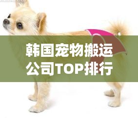 韩国宠物搬运公司TOP排行榜揭晓！