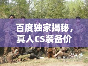 百度独家揭秘，真人CS装备价格大全