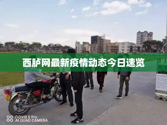 西胪网最新疫情动态今日速览