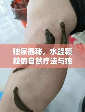 独家揭秘，水蛭颗粒的自然疗法与独特图片展示