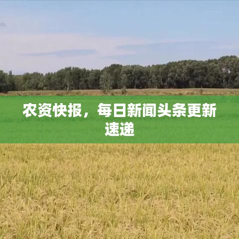 农资快报，每日新闻头条更新速递
