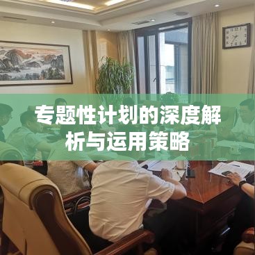 专题性计划的深度解析与运用策略