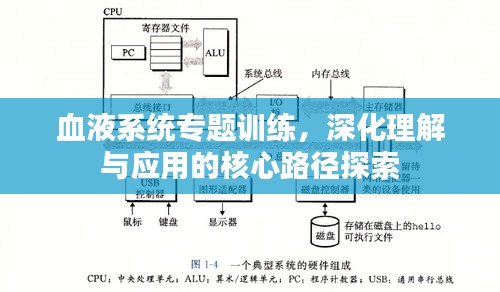 血液系统专题训练，深化理解与应用的核心路径探索
