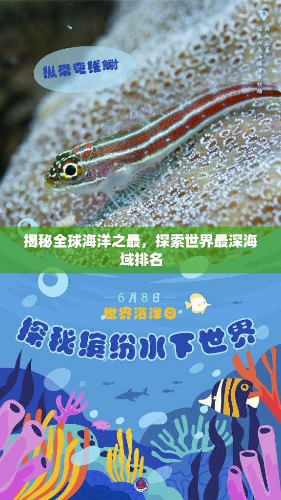 揭秘全球海洋之最，探索世界最深海域排名