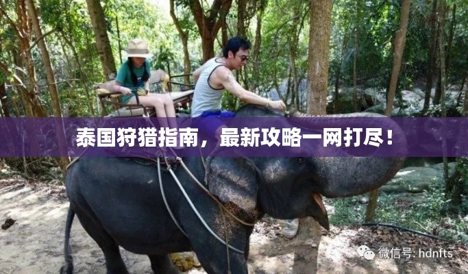 泰国狩猎指南，最新攻略一网打尽！