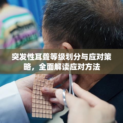 突发性耳聋等级划分与应对策略，全面解读应对方法