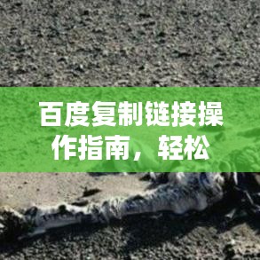 百度复制链接操作指南，轻松几步，快速使用！