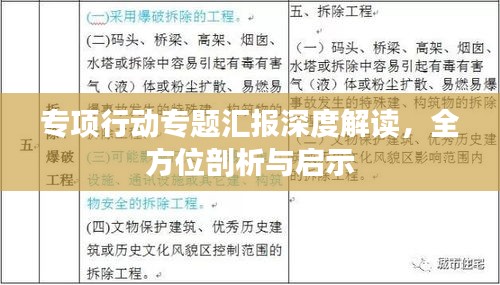 专项行动专题汇报深度解读，全方位剖析与启示