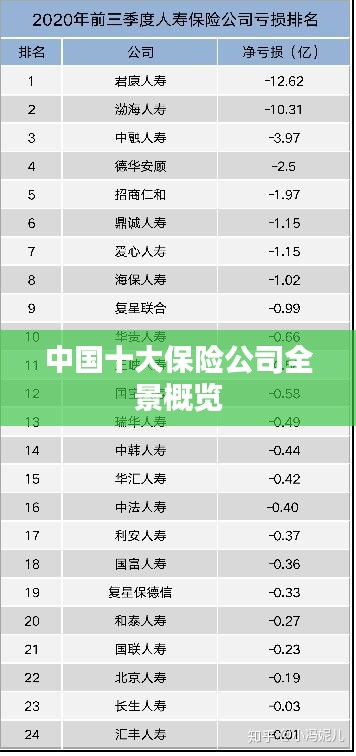 中国十大保险公司全景概览