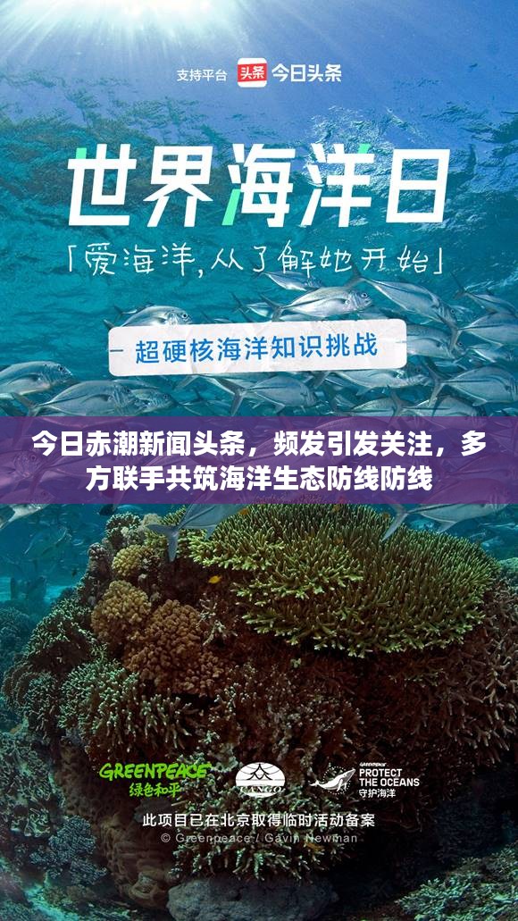 今日赤潮新闻头条，频发引发关注，多方联手共筑海洋生态防线防线