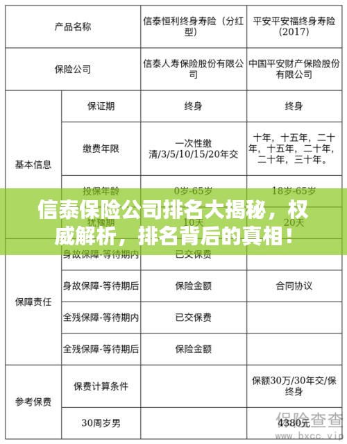 信泰保险公司排名大揭秘，权威解析，排名背后的真相！