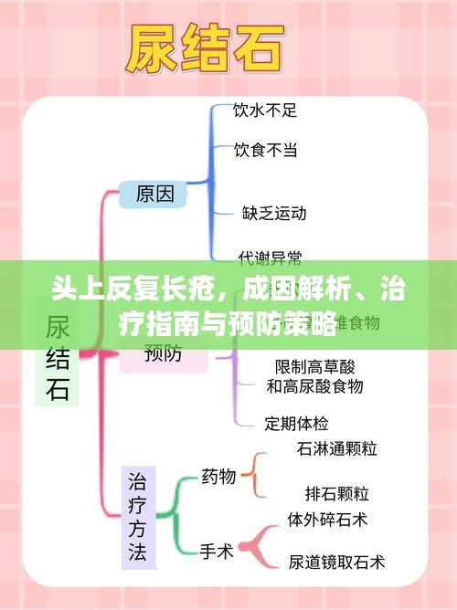 头上反复长疮，成因解析、治疗指南与预防策略