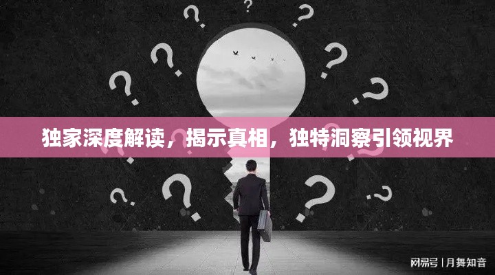 独家深度解读，揭示真相，独特洞察引领视界