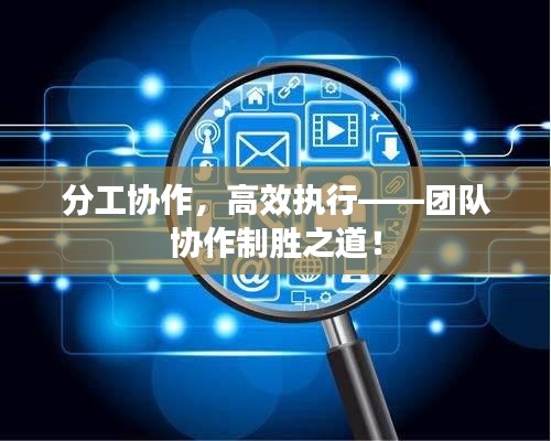 分工协作，高效执行——团队协作制胜之道！