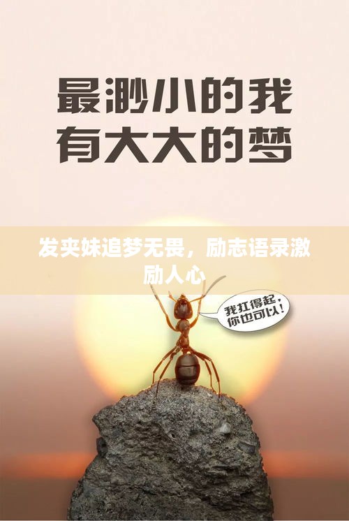 发夹妹追梦无畏，励志语录激励人心