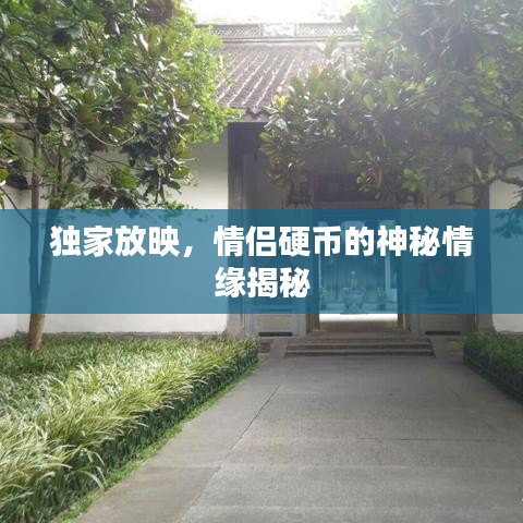 独家放映，情侣硬币的神秘情缘揭秘