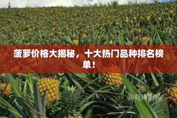菠萝价格大揭秘，十大热门品种排名榜单！